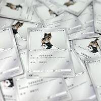 画像456