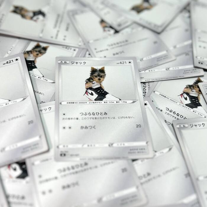 画像456